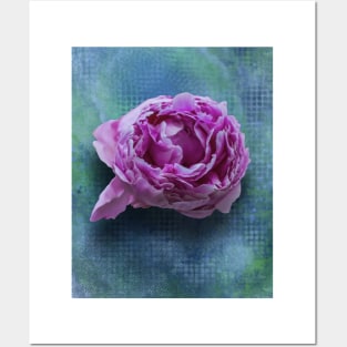 Pink Peony Posters and Art